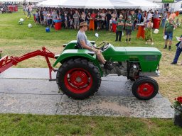 ws 293